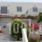 Aktio Studios_best deals_Hotel_Cyclades Islands_Andros_Andros City