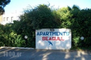 Apartments Seagull_best prices_in_Apartment_Dodekanessos Islands_Kos_Kos Chora