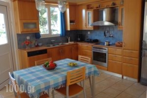 Elen House_lowest prices_in_Hotel_Peloponesse_Achaia_Patra