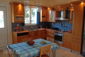 Elen House_best prices_in_Hotel_Peloponesse_Achaia_Patra