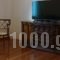 Athens Family Apartments_best deals_Apartment_Central Greece_Attica_Moschato