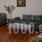 Athens Family Apartments_holidays_in_Apartment_Central Greece_Attica_Moschato