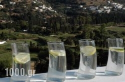 Edem Suites in Athens, Attica, Central Greece