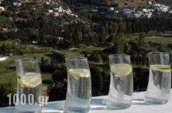 Edem Suites in Andros Chora, Andros, Cyclades Islands