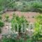 Allaria villa_best deals_Villa_Crete_Rethymnon_Rethymnon City