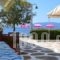 Blu_accommodation_in_Hotel_Central Greece_Fthiotida_Glyfa