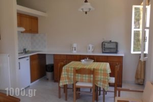 Captain'S Apartments_lowest prices_in_Apartment_Ionian Islands_Kefalonia_Kefalonia'st Areas