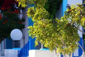 Anna Maria Rooms_travel_packages_in_Cyclades Islands_Sandorini_Perissa