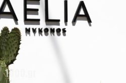 Aelia Mykonos in Mykonos Chora, Mykonos, Cyclades Islands