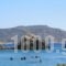 Castelia Bay Hotel_best deals_Hotel_Dodekanessos Islands_Karpathos_Karpathosora