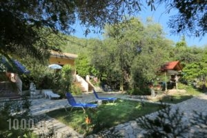 Rozalia Studios_best prices_in_Hotel_Ionian Islands_Lefkada_Sivota