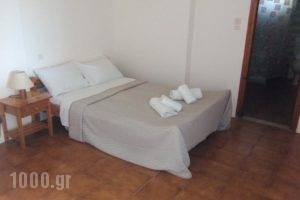 Andy's Gardens_best prices_in_Hotel_Crete_Chania_Kissamos
