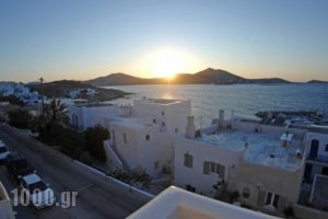 Irini Rooms_accommodation_in_Room_Cyclades Islands_Paros_Naousa