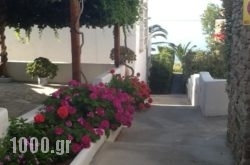 Evaggelia Studios & Apartments in Dodoni, Ioannina, Epirus