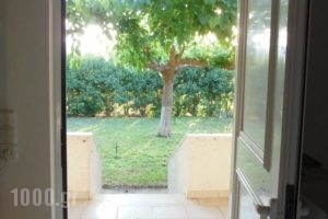 Helonata Apartments_best deals_Apartment_Peloponesse_Ilia_Vartholomio