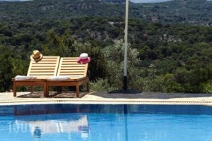 Aposperitis  Apartments_accommodation_in_Apartment_Crete_Rethymnon_Mylopotamos