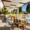 Daisy Zakynthos Apartments_best deals_Apartment_Ionian Islands_Zakinthos_Laganas