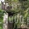 Kalia_accommodation_in_Hotel_Aegean Islands_Thasos_Thasos Chora