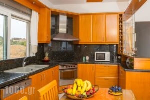 Evita Apartments_lowest prices_in_Apartment_Crete_Heraklion_Ammoudara