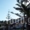 Joanna Studios_accommodation_in_Hotel_Crete_Rethymnon_Plakias