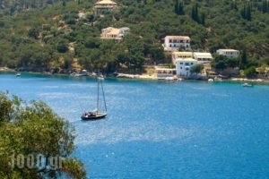 Lena Garnelli Apartments_best prices_in_Apartment_Ionian Islands_Corfu_Kassiopi