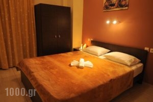Villa Konstantinos_accommodation_in_Villa_Macedonia_Pieria_Katerini