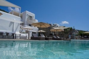 Paros Butterfly Villas_lowest prices_in_Villa_Cyclades Islands_Sifnos_Faros