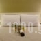 Phidias Hotel_best deals_Hotel_Central Greece_Attica_Athens