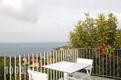 Asteris Hotel in Kefalonia Rest Areas, Kefalonia, Ionian Islands