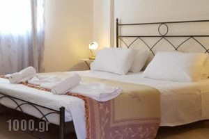 Amazones Village Suites_best prices_in_Hotel_Crete_Heraklion_Chersonisos