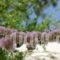 St.John Patmos Suites_best deals_Hotel_Dodekanessos Islands_Patmos_Patmos Chora