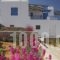 Villa Meltemi_travel_packages_in_Cyclades Islands_Iraklia_Iraklia Chora