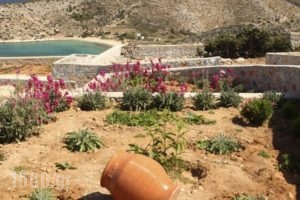 Villa Meltemi_best prices_in_Villa_Cyclades Islands_Iraklia_Iraklia Chora