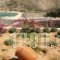 Villa Meltemi_best prices_in_Villa_Cyclades Islands_Iraklia_Iraklia Chora