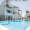 Olive Tree_best deals_Hotel_Crete_Chania_Falasarna