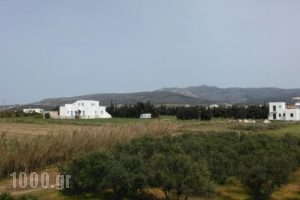 Kambos Kottage_lowest prices_in_Hotel_Cyclades Islands_Paros_Paros Chora