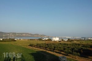 Kambos Kottage_accommodation_in_Hotel_Cyclades Islands_Paros_Paros Chora