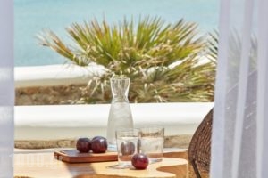 Mykonos Ves Beach House & Suites_best deals_Hotel_Cyclades Islands_Mykonos_Mykonos ora