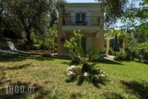 Kika Apartments_best deals_Apartment_Ionian Islands_Lefkada_Sivota