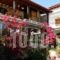 Star Paradise_accommodation_in_Hotel_Macedonia_Halkidiki_Neos Marmaras