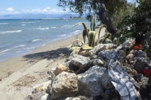 Summer House on the Sandy Beach_best deals_Hotel_Ionian Islands_Corfu_Corfu Rest Areas