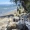 Summer House on the Sandy Beach_best deals_Hotel_Ionian Islands_Corfu_Corfu Rest Areas