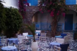 Hotel Grivas_holidays_in_Hotel_Cyclades Islands_Paros_Paros Chora