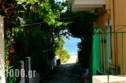 Lena Garnelli Apartments in Kassiopi, Corfu, Ionian Islands