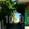 Lena Garnelli Apartments_accommodation_in_Apartment_Ionian Islands_Corfu_Kassiopi