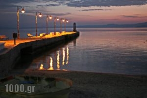 Gregory Apartments_holidays_in_Apartment_Macedonia_Halkidiki_Pefkochori