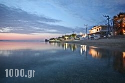 Gregory Apartments in Pefkochori, Halkidiki, Macedonia