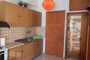 Mastiha Emporios Apartments_lowest prices_in_Apartment_Aegean Islands_Chios_Chios Rest Areas