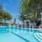 Contessa Hotel_travel_packages_in_Ionian Islands_Zakinthos_Zakinthos Chora