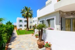 Angela Studios & Apartments_lowest prices_in_Apartment_Crete_Lasithi_Aghios Nikolaos